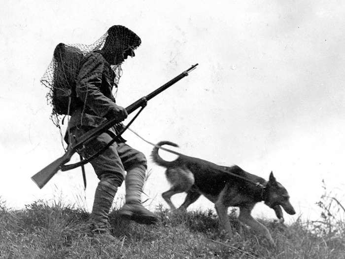 兵士と捜索に当たる、旧陸軍歩兵第37連隊（大阪市）所属の軍用犬=1933年。朝日新聞社データベースから