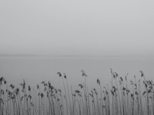 形のない「グレーな関係」が心地よかったけど、ふとした瞬間疲れる