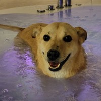 ジャグジーのブクブクが大好きなゆうたくん