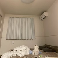 とほうにくれたように天井を見るワンコ（画像提供：モコさん、画像を一部トリミング）