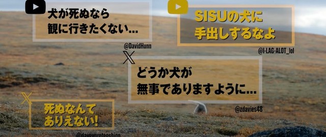 犬好きさんたちの声（映画『SISU/シス 不死身の男』PR動画より抜粋／© 2022 FREEZING POINT OY AND IMMORTAL SISU UK LTD. ALL RIGHTS RESERVED.　配給：ハピネットファントム・スタジオ）