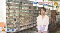 柳下遥アナウンサー