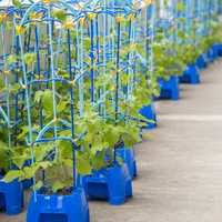 小学校の植木鉢　※画像はイメージです（shirohige/stock.adobe.com）