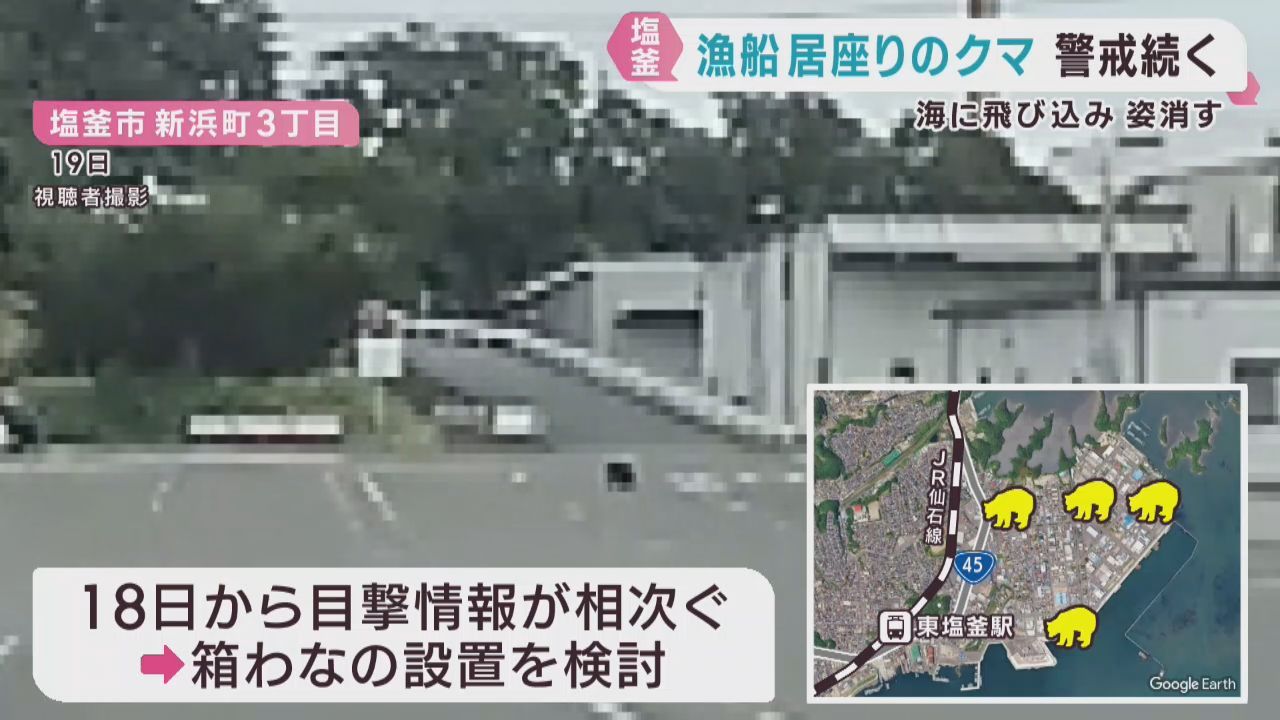 宮城・塩釜港のクマ　漁船に約４時間居座り海へ　その後も行方分からず