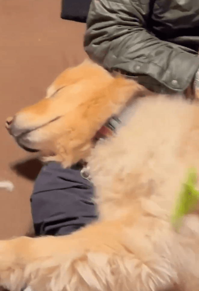 気持ちよさそう…