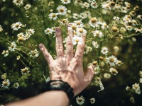 【厳選】恋愛をめぐる名エッセイ５選。動き始めた「好き」は止まらない、止められない。