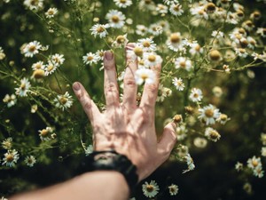 【厳選】恋愛をめぐる名エッセイ５選。動き始めた「好き」は止まらない、止められない。