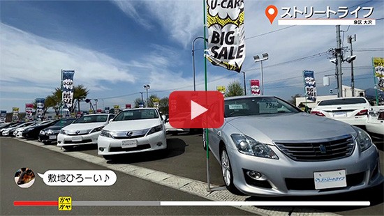 #815ストリートライフ①