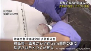 魚に含まれるトリチウム濃度を検査　処理水の海洋放出開始受け　宮城・多賀城市の施設