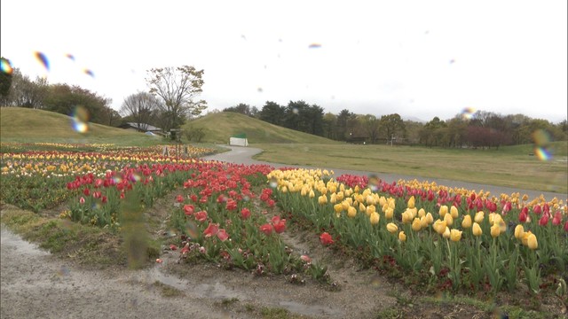 〈新型コロナ〉外出自粛ムードで…春の行楽シーズン迎えた公園にも影響　香川・まんのう町