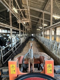 牛舎の掃除も大切なお仕事！（提供：西岡牧場さん）