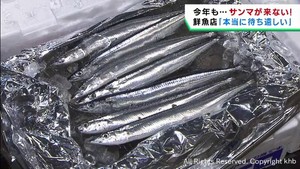 秋の味覚サンマ　宮城県に水揚げ無し　気仙沼市では初水揚げを待ち望む声