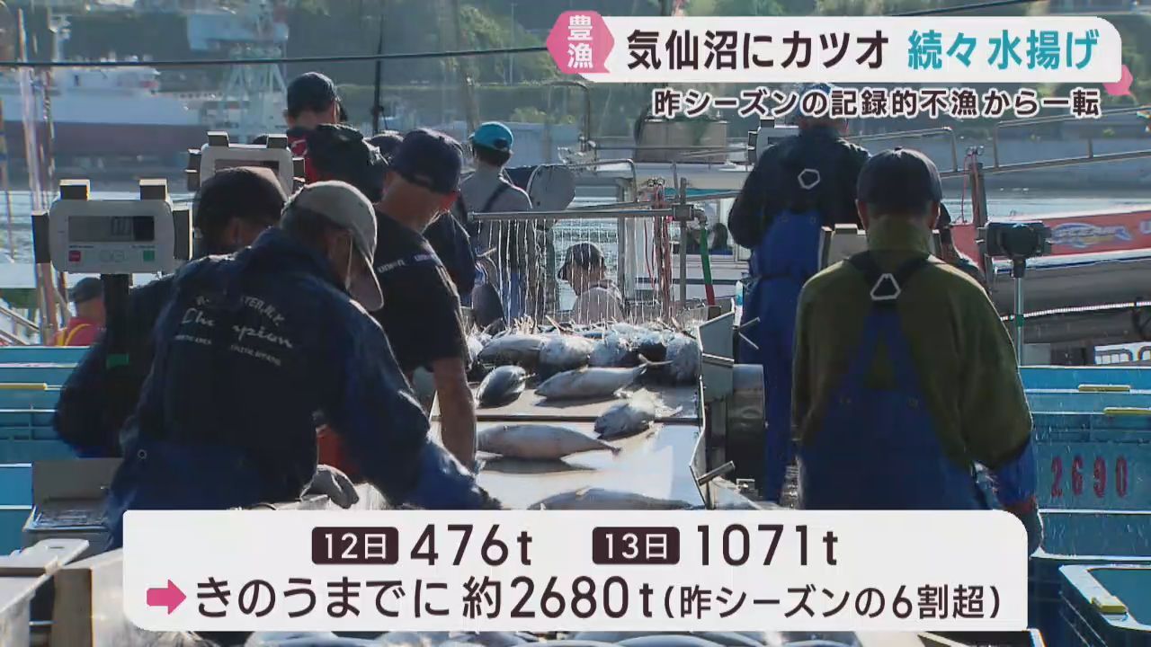 前年の記録的不漁から一転　宮城・気仙沼市で生鮮カツオが豊漁