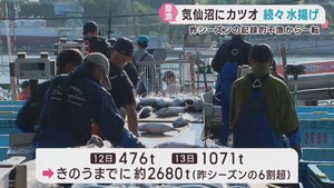 前年の記録的不漁から一転　宮城・気仙沼市で生鮮カツオが豊漁