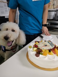 お誕生日を祝ってもらいました！（提供写真）