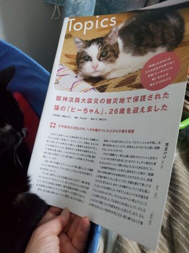 日本動物愛護協会の会報誌「動物たち」に掲載された26歳の猫ピーちゃんの記事をイヌオに読んであげました。「ピーちゃんは26年前に阪神淡路大震災の被災地で保護されたんだよ」