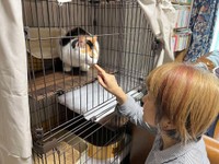 保護団体で対面したまどかちゃんと飼い主さん（写真提供：おざわゆきさん）