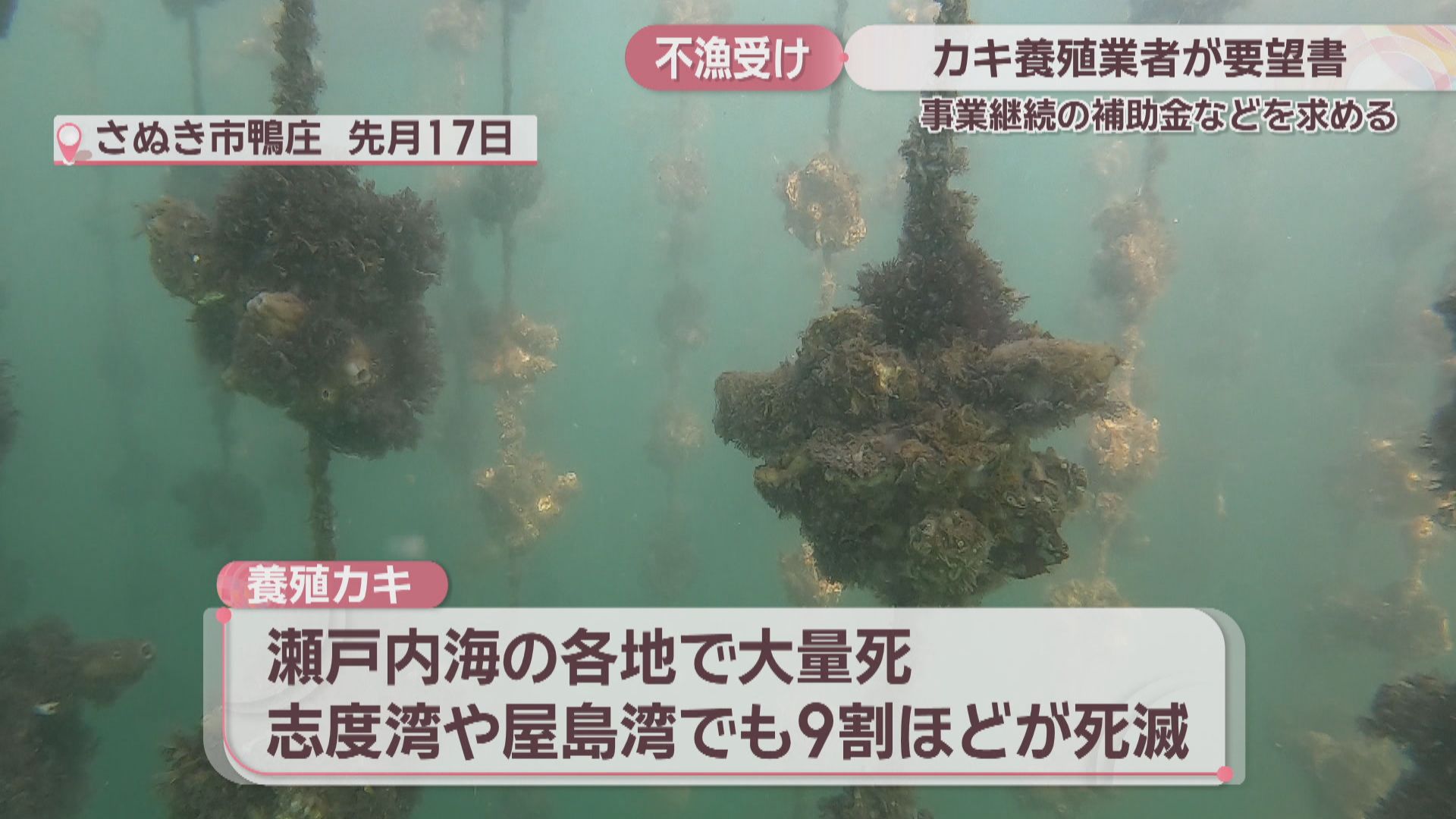※裁断済み 【海が好き】 ※裁断済 フライトジャケット ( 海上自衛隊 掃海艇みやじま [ 弁財天 ]) 襟ボア
