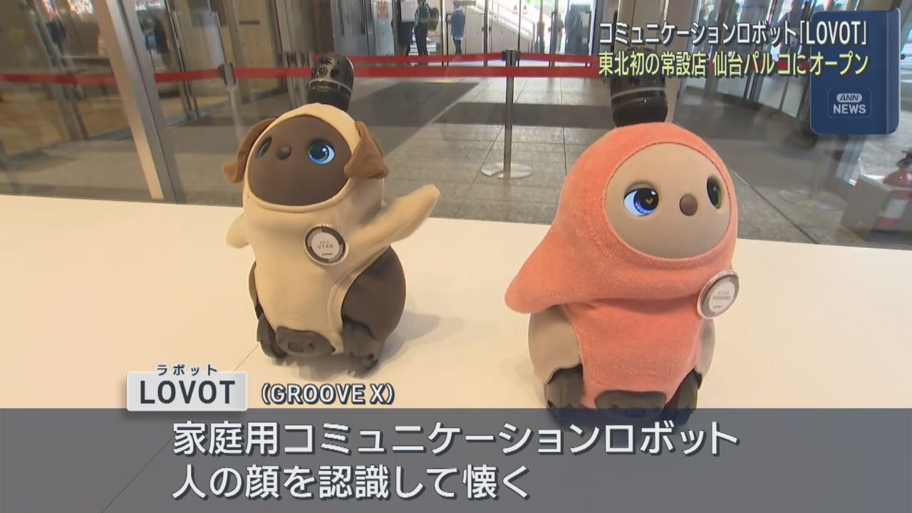 家族型コミュニケーションロボットＬＯＶＯＴ　東北初の常設店舗が仙台パルコに