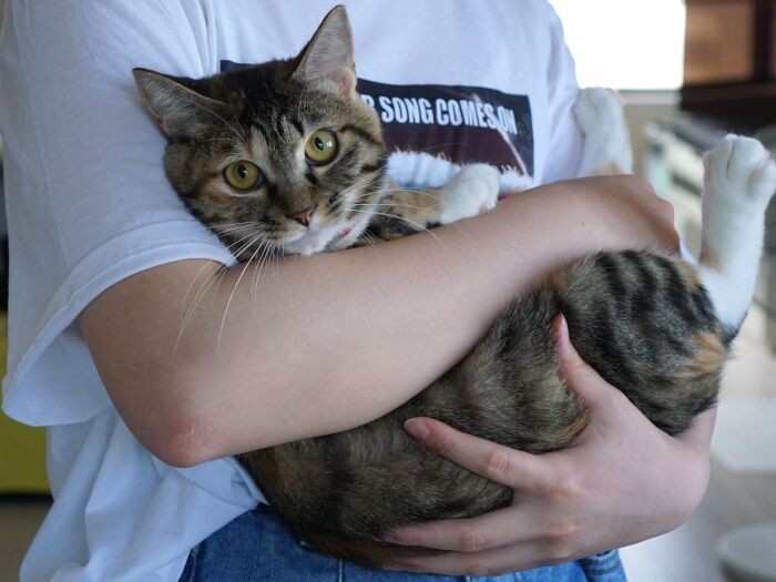 「これから楽しいこといっぱいしたいな」