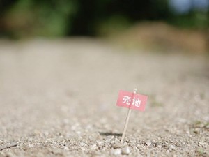 市街化調整区域内の不動産を売却するには？ 売却のコツを解説