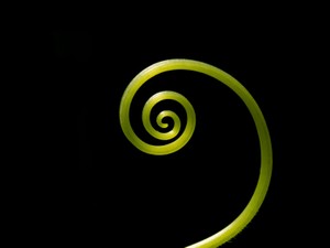 曇っててやる気のない月曜日。「こごみ」からもらったエナジイ