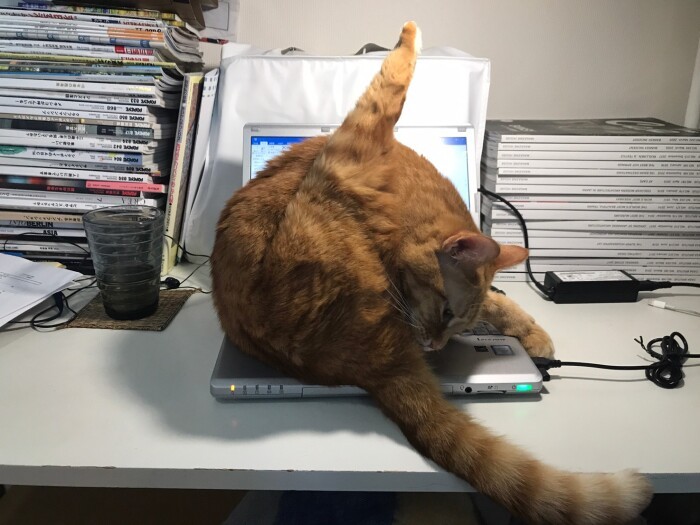 芸術的な乗り（山下さん提供）