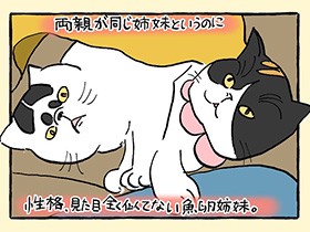 美少女とスケ番？　もしも魚卵猫姉妹が人間だったら