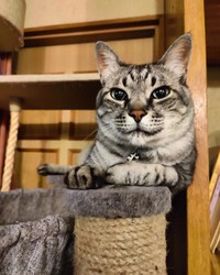 ご機嫌チビくん＝chi_puc_noa_yuz2828さん提供