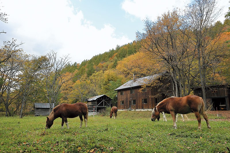 東京との環境の違いに最初は怖くて泣きたくなったそうだが、今は深い安心感に包まれるという。１本１本の木とも顔見知りになり、暗闇でもどこにあるかわかるほど