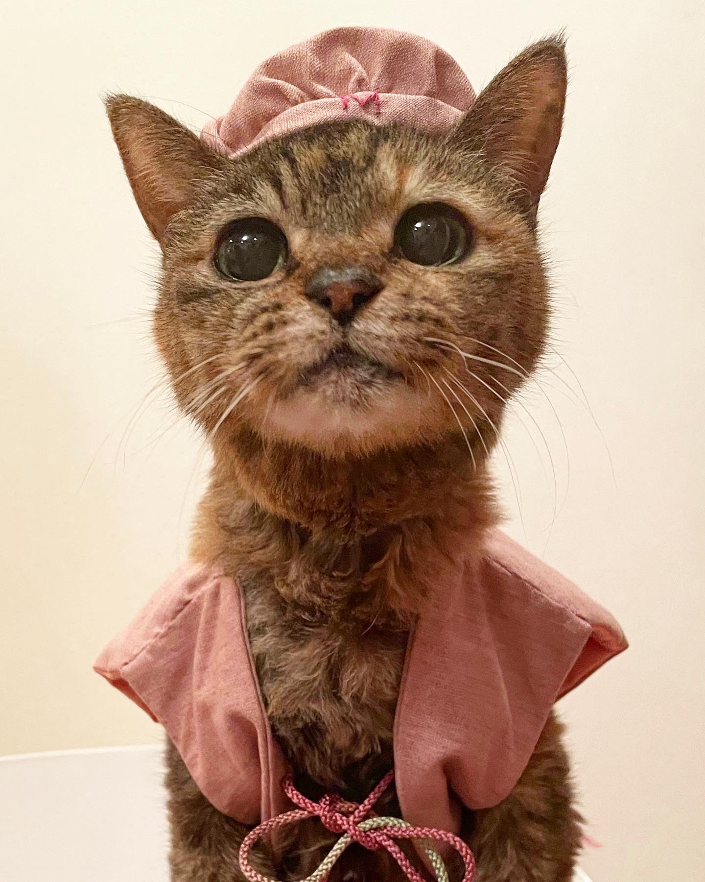 人間でいえば“百寿”「ボロボロだった子がこんなに長生き」…21歳を迎え