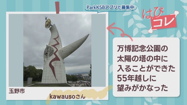 【はぴコレ】家族で大阪万博　7月31日放送