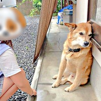 お姉ちゃんにはプイッ！ ところがパパに対しては！？ （画像提供：ゆずのなかさん）