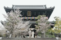 桜と寺院を背景に和装で並ぶ2人／投稿主さん提供
