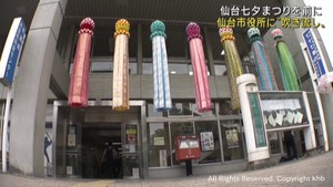 仙台七夕まつりを前に仙台市役所に七夕飾りがお目見え