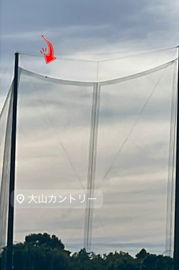 高さ40メートルのゴルフネット頂上に子猫！（「大山カントリー」さん提供、Instagramよりキャプチャ撮影）