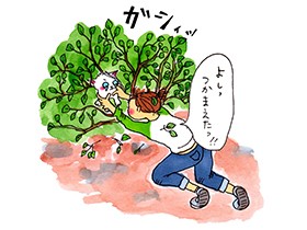 耳が聞こえなくても大丈夫だからね　捕獲した白い子猫、頼もしい猫家族がお世話