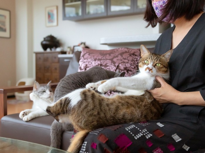 捕まってしまいました