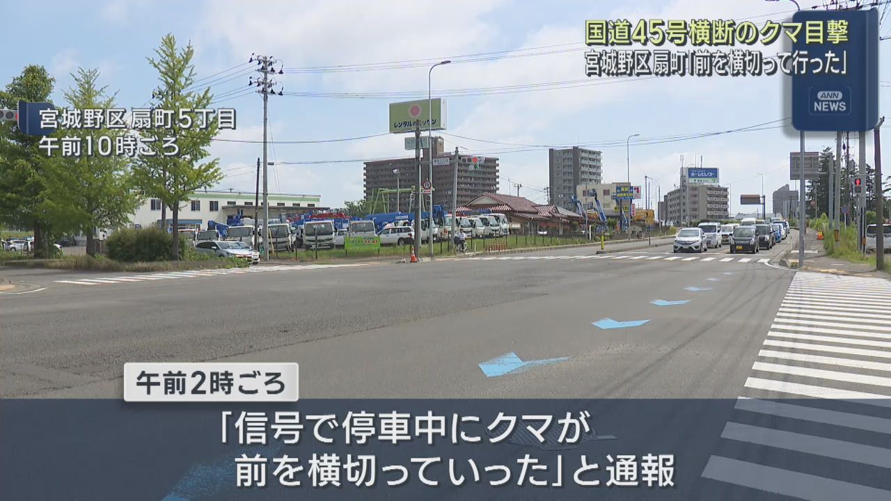 国道４５号を横切るクマを目撃　仙台・宮城野区