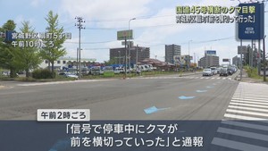 国道４５号を横切るクマを目撃　仙台・宮城野区