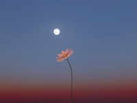 「変わらない私で生きる」反抗。社会に染まらずうつくしさを守り抜く