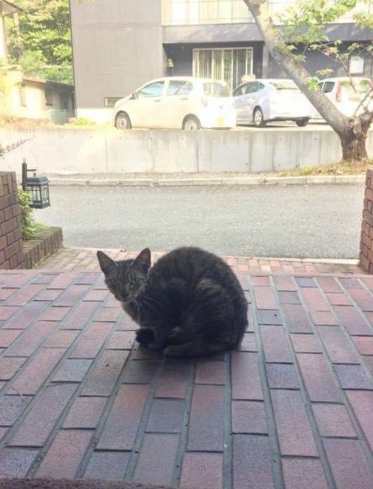 玄関口に突然現れました