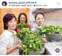 伍代夏子インスタグラム＠natsuko_godai_officialより