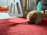 オヤツに夢中～（画像提供：ミサイルさん）