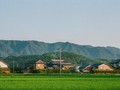 地元に帰る場所はある、でも居場所はない。スパイだらけのこの町に