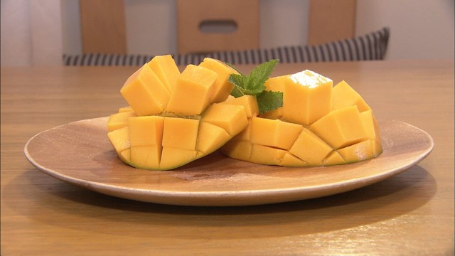 濃厚で甘～いマンゴーの収穫が最盛期　採れたてをカフェでも提供　香川・三豊市