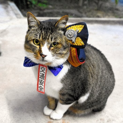 交通安全イベントに登場したりょうま駅長