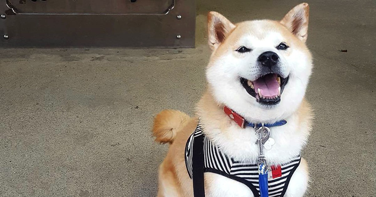 a769a09436a7835de8278ec2d60a15