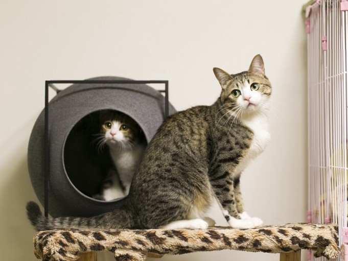 SNSで話題沸騰中の仲良しコンビ「すずめ」と「うなぎ」って？