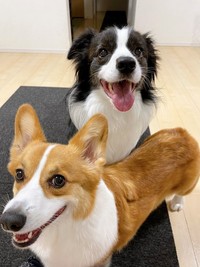 仲良く一緒ににっこり！ ニックくん（手前）とノアちゃん（奥）（画像提供：紫月さん）